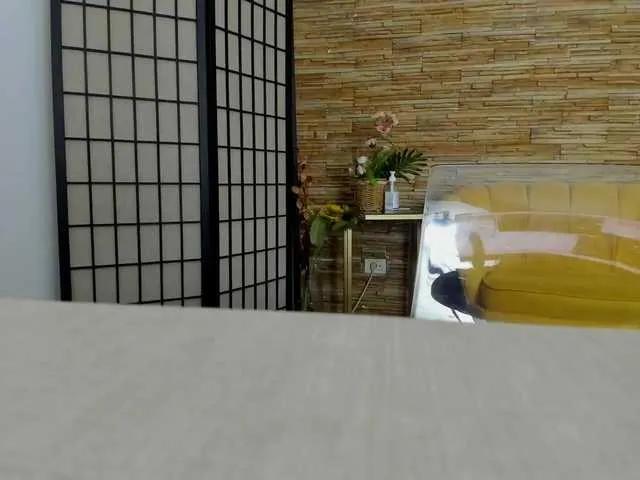 Offline AishaRouhi on BongaCams