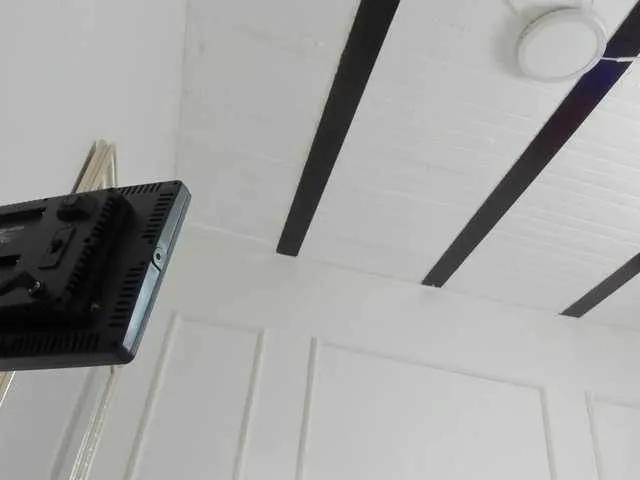 Offline AmyKord on BongaCams