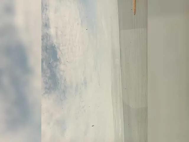 Freechat AngeRouse on BongaCams