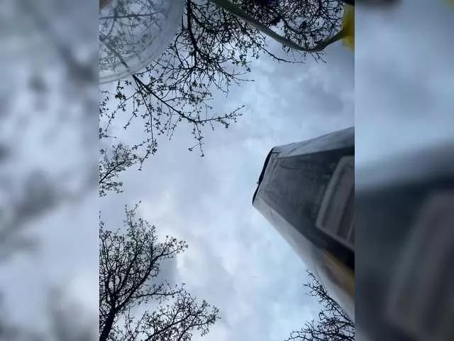 Freechat annie-fleur on BongaCams