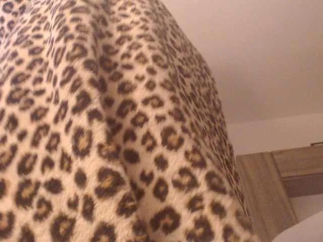 Freechat DivineBlond on BongaCams