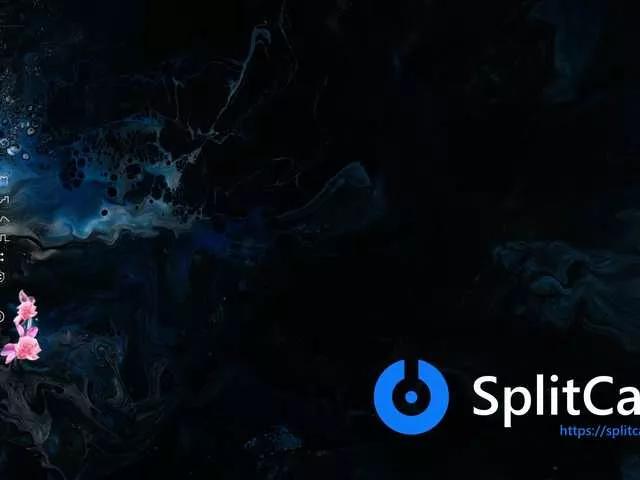 Offline ElysaWetxx on BongaCams