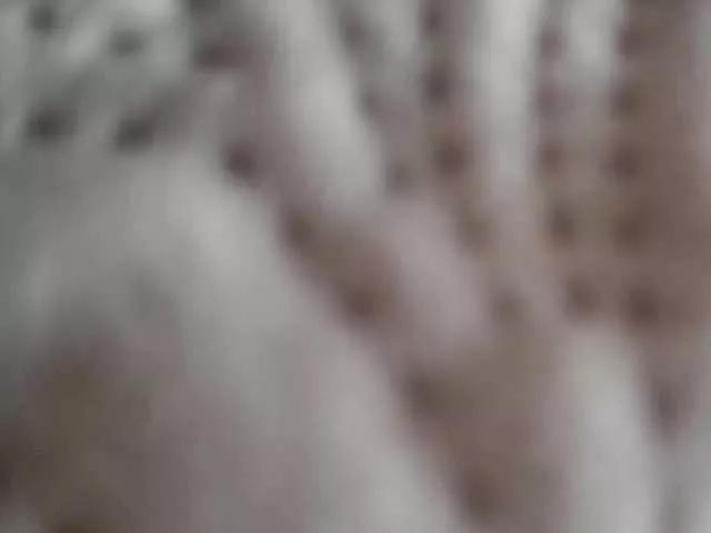 Offline Fox23 on BongaCams