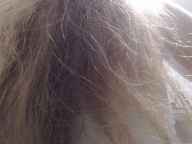 Offline GLAMYR252 on BongaCams