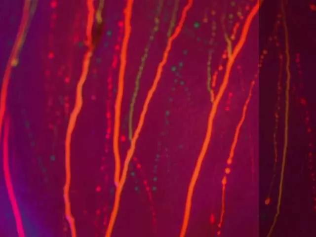 Offline HEYBANANA on BongaCams