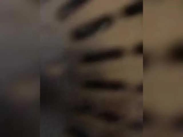 Offline Marinade on BongaCams