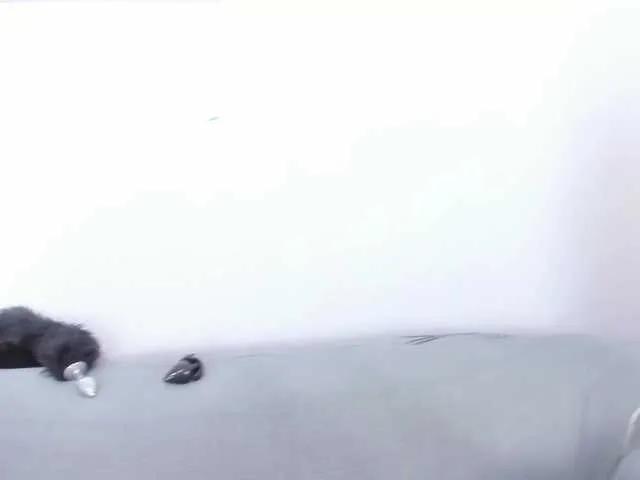 MissSoffiMorel on BongaCams 