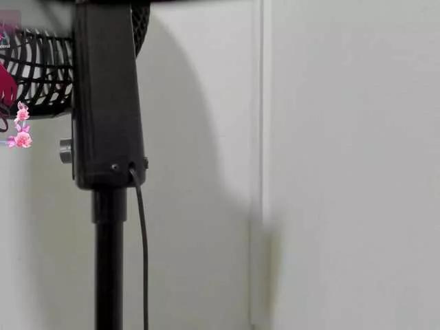 Offline Mollys-Charm777 on BongaCams