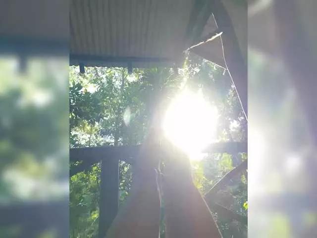 Offline Montenegro8 on BongaCams