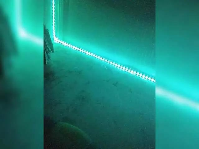 Offline SashaLena728 on BongaCams