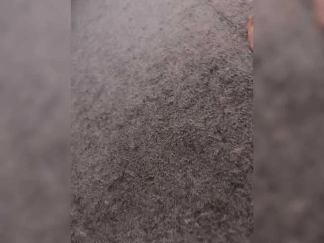 Offline Sexy6969 on BongaCams