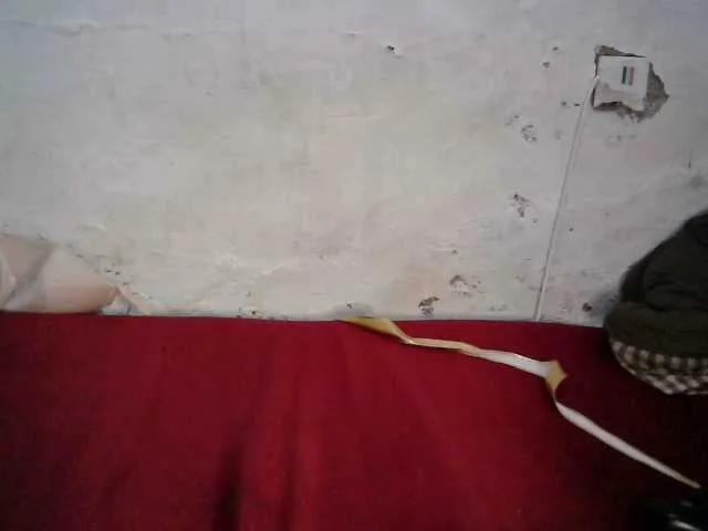 BongaCams Sweet-Trizer is Freechat Sweet-Trizer — tips
play wit my clit and nipples