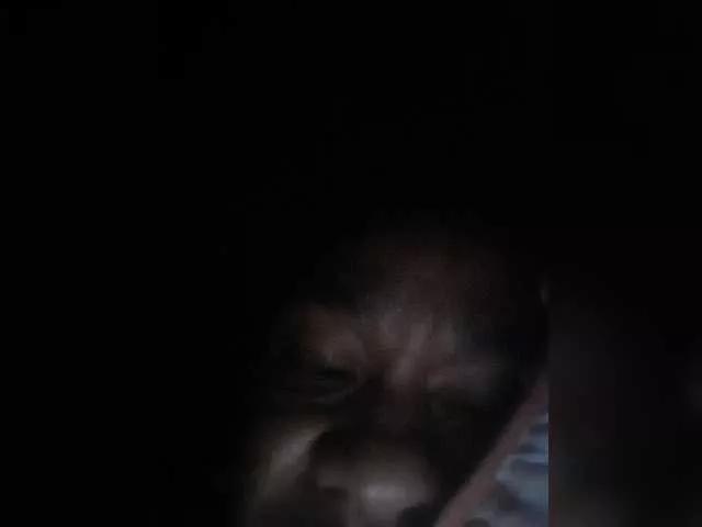 Offline Sweet115 on BongaCams