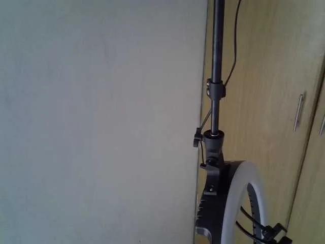 SweetRose — I love flirting and expressing myself sexually to make your fantasy come true.