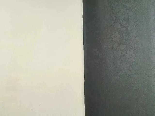 Offline Verapink on BongaCams