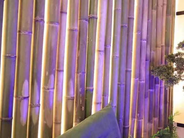 Offline VikkiRood on BongaCams