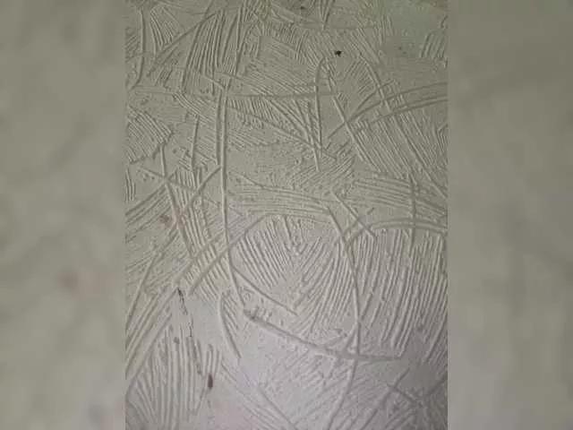 Offline ViollaSweetA on BongaCams