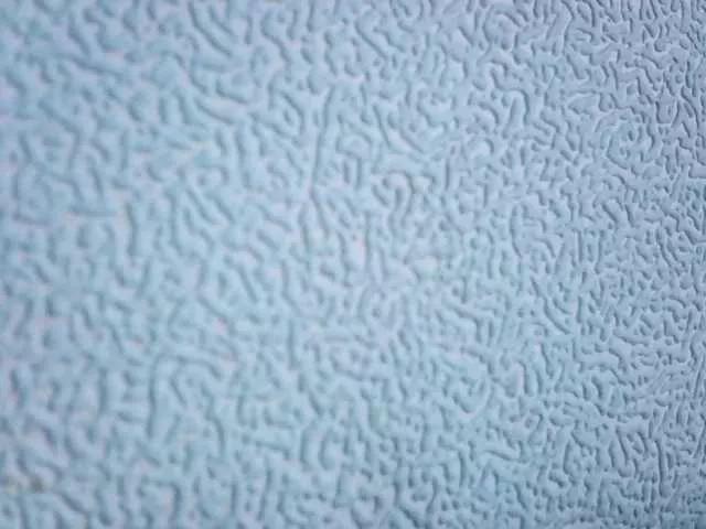 Offline Wildrose77201877 on BongaCams