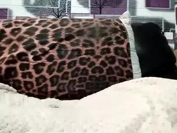 Freechat kurdishbbc on Chaturbate