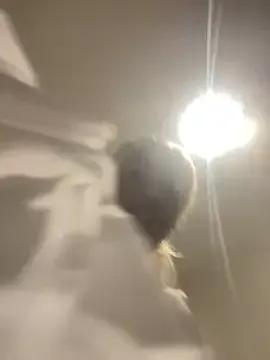 StripChat Go_Meg is Freechat Go_Meg — Shut it down