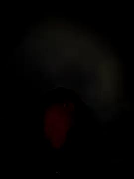 Freechat Hilary_pinkk on StripChat