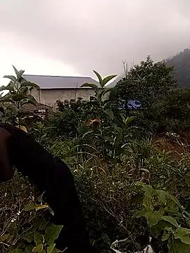 linda_bae00 — Mong tun ny s t c mc tiu