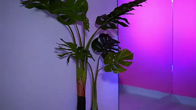 Freechat NatyDesiree on StripChat